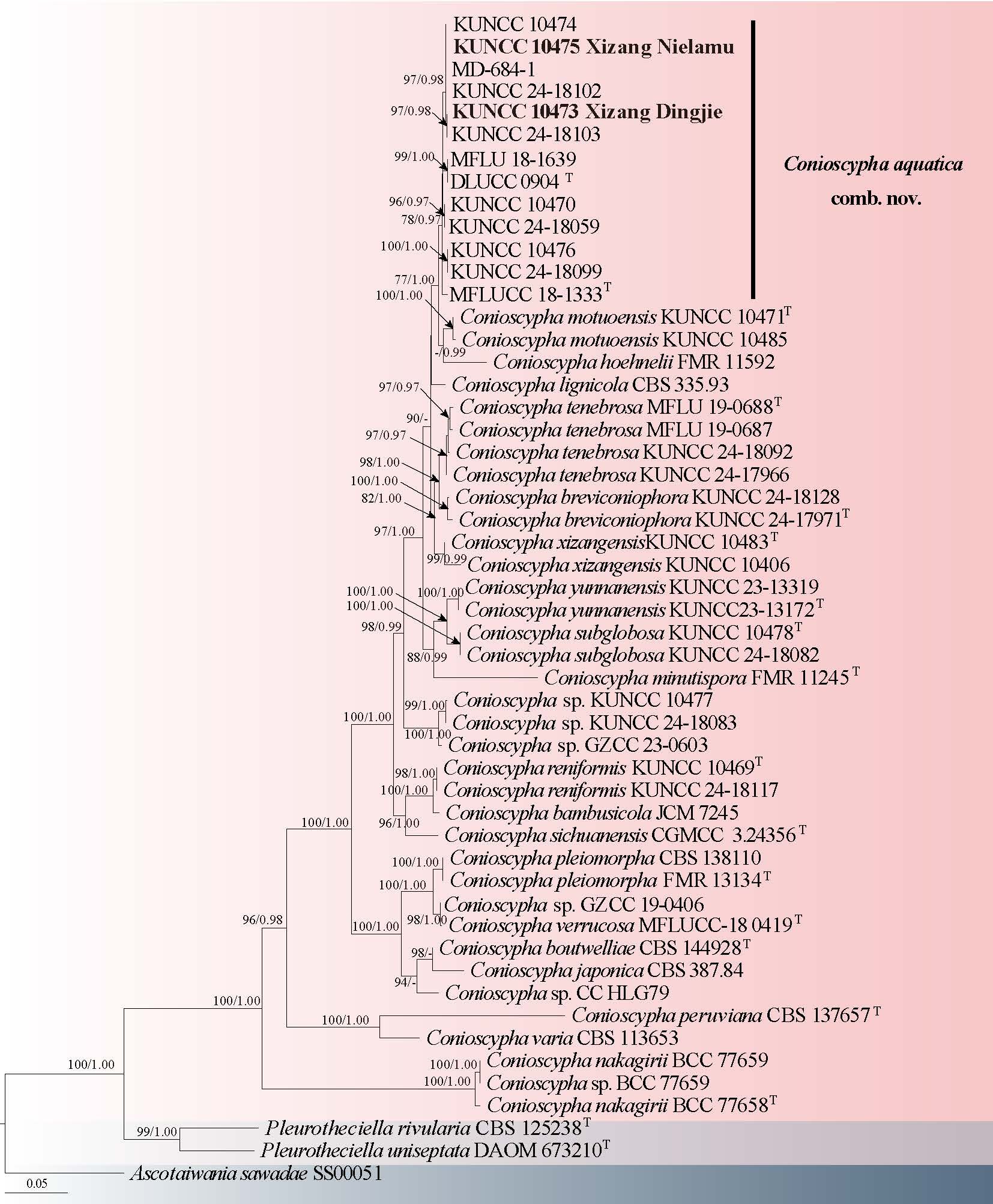 Figure 45
